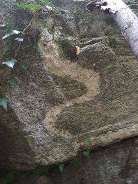 Окото, което изберете разкрива много за вашата личност