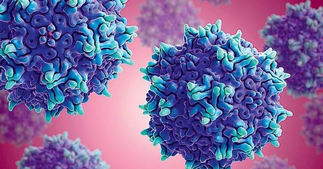 Има ли ползи от вирусите?