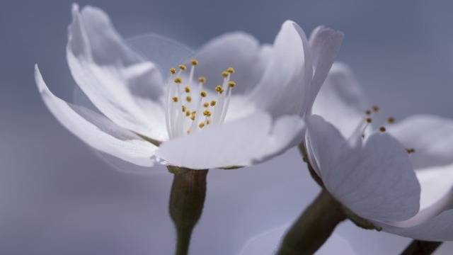 Дневен хороскоп за 18 юни 2021г. – Хороскопи за всяка зодия – народна медицина, здраве, астрология, съдби, секс и зодии