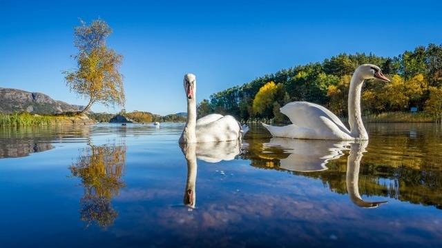 Дневен хороскоп за 29 юни 2021г. – Хороскопи за всяка зодия – народна медицина, здраве, астрология, съдби, секс и зодии