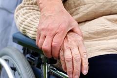 Болногледач в Германия