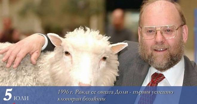 Горчивата слава на овцата Доли