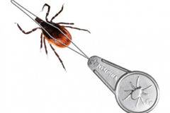 Нимфия (Nimphia) средство за премахване и изваждане на кърлежи (акари)