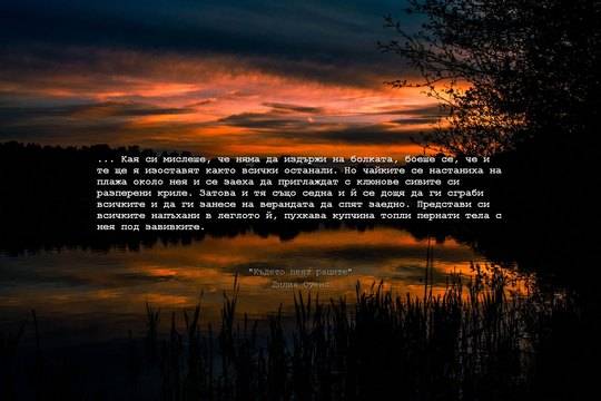 Любими цитати от “Където пеят раците”