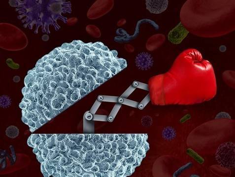 Какво убива раковите клетки