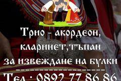 Оркестър трио за извеждане на булки – Музиканти за извеждане