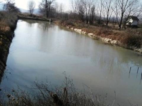 Рибовъдна ферма в София-област