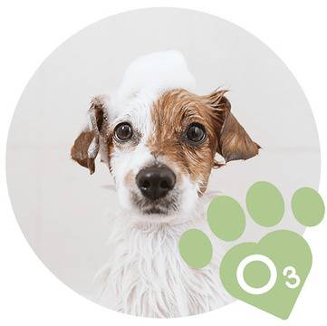 Озонотерапия