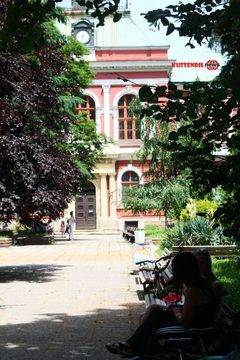 Забелязано в Кюстендил