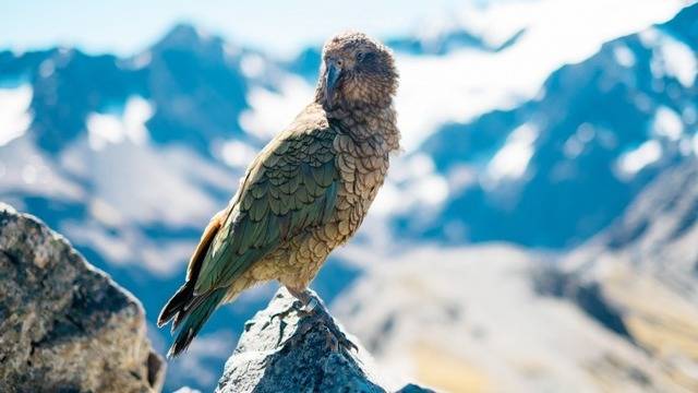 Дневен хороскоп за 29 август 2021г. – Хороскопи за всяка зодия – народна медицина, здраве, астрология, съдби, секс и зодии