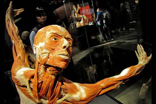 Държавната търговия с органи в Китай: кръвни проби и пластинирани тела (видео)