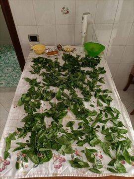 Как да си Направим Домашно Песто?