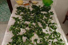 Как да си Направим Домашно Песто?