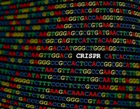 Генетично Оръжие CRISPR CAS9 СТОПИРА 4 КОДОНА