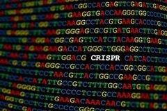 Генетично Оръжие CRISPR CAS9 СТОПИРА 4 КОДОНА
