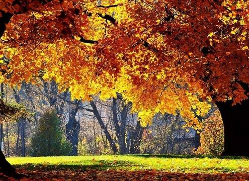 Дневен хороскоп за 09 октомври 2021г. – Хороскопи за всяка зодия – народна медицина, здраве, астрология, съдби, секс и зодии