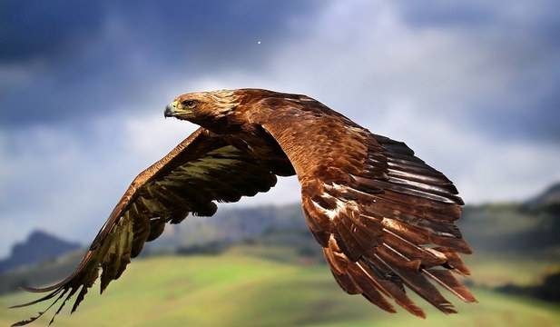 Дневен хороскоп за 22 октомври 2021г. – Хороскопи за всяка зодия – народна медицина, здраве, астрология, съдби, секс и зодии