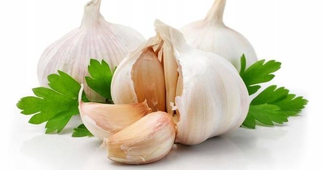 Чесън – да поговорим за него и неговите благоприятни въздействия върху човешкия организъм