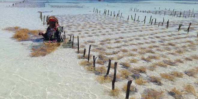 8 Важни Неща за Остров Занзибар