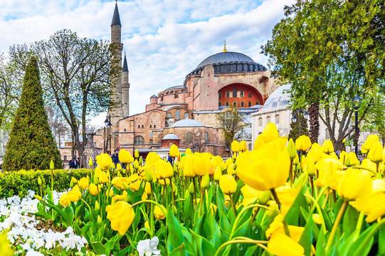 Екскурзии за Фестивала на лалето 2022, Истанбул