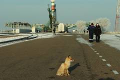 Роскосмос е в готовност за изстрелването на новия модул Причал към МКС