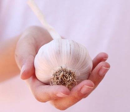 Пет хилядолетия назад: Култът към чесъна има своята история