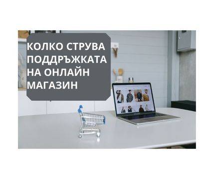 Колко струва поддръжката на онлайн магазин