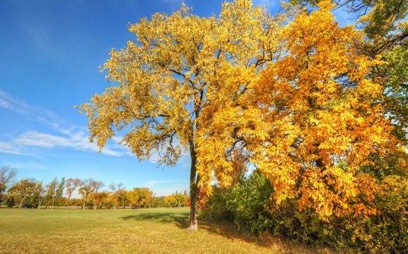 Дневен хороскоп за 02 декември 2021г. – Хороскопи за всяка зодия – народна медицина, здраве, астрология, съдби, секс и зодии