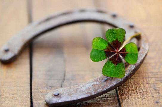 Нищо в Живота не е Случайно