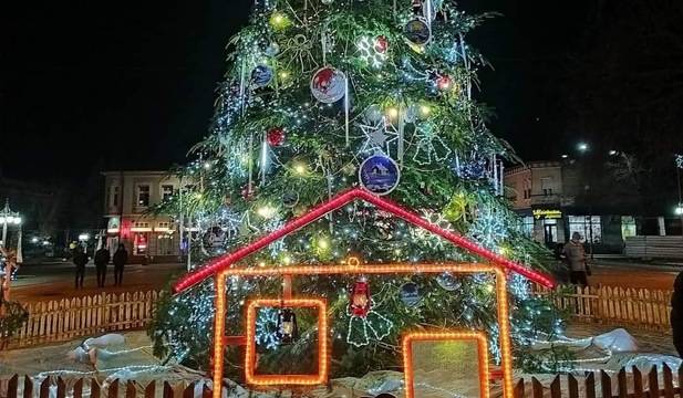 Елхата на град Кюстендил – Kustendil Net – Новини от Кюстендил, Дупница, Бобов дол, Рила, Сапарева баня, Кочериново и Бобошево