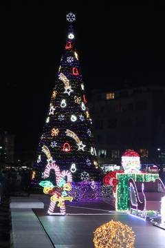 Благоевград грейна с 14-метрова коледна елха (Видео)