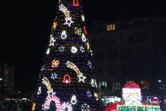 Благоевград грейна с 14-метрова коледна елха (Видео)