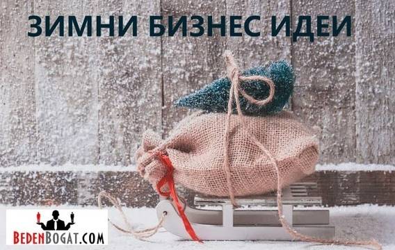 Бизнес идеи за зимата – печелете, докато вали сняг