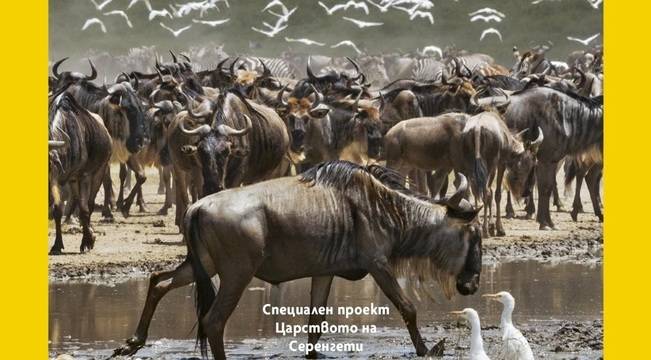 National Geographic България – Декември 2021 г.
