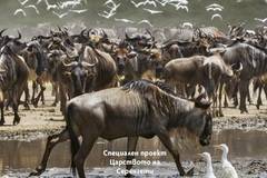 National Geographic България – Декември 2021 г.