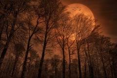 Дневен хороскоп за 18 декември 2021г. – Хороскопи за всяка зодия – народна медицина, здраве, астрология, съдби, секс и зодии
