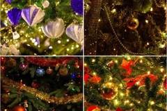 Кой гирлянд да изберете: със студена бяла или жълта светлина?