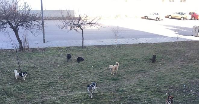 Kustendil Net – Новини от Кюстендил, Дупница, Бобов дол, Рила, Сапарева баня, Кочериново и Бобошево