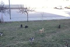 Kustendil Net – Новини от Кюстендил, Дупница, Бобов дол, Рила, Сапарева баня, Кочериново и Бобошево