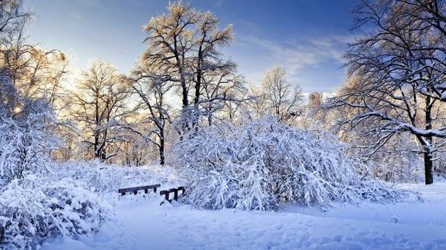 Дневен хороскоп за 18 януари 2022г. – Хороскопи за всяка зодия – народна медицина, здраве, астрология, съдби, секс и зодии