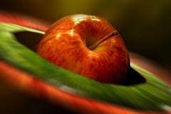 Едни от най-полезните храни са евтини и достъпни, вижте кои са те ….