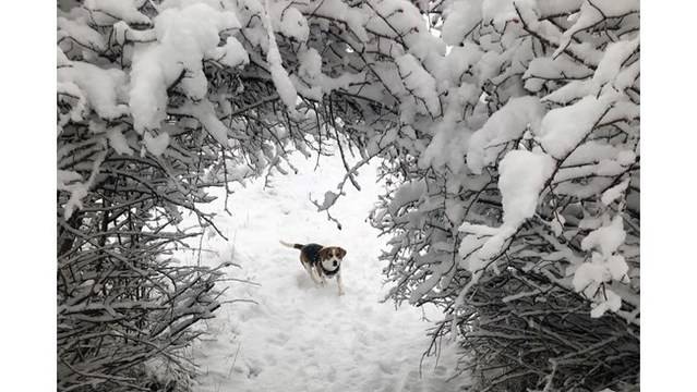 Февруари по-топъл до 2° и с циклони