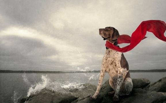 Дневен хороскоп за 11 февруари 2022г. – Хороскопи за всяка зодия – народна медицина, здраве, астрология, съдби, секс и зодии