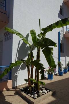 Acapulco Apartments 2 *