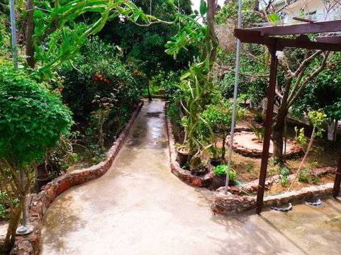 Alpha Stegna Sun 2 *