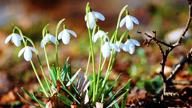 Дневен хороскоп за 21 февруари 2022г. – Хороскопи за всяка зодия – народна медицина, здраве, астрология, съдби, секс и зодии