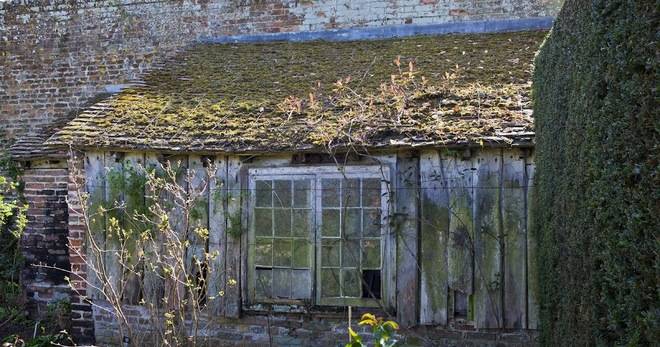 Поучителна история за знанието на младите – Пенсиониран учител и млад инженер отглеждали своите градини …