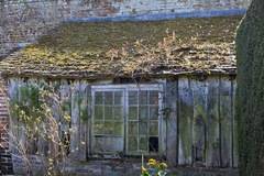 Поучителна история за знанието на младите – Пенсиониран учител и млад инженер отглеждали своите градини …