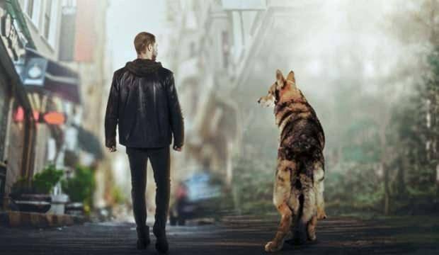 Самотен вълк сериал