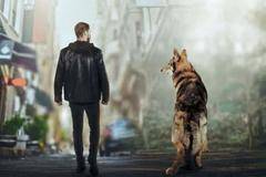 Самотен вълк сериал